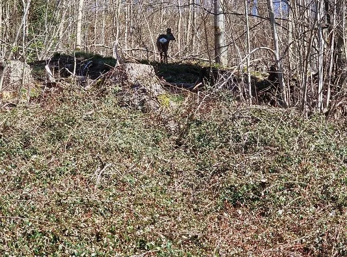 公寓 An Der Spitze