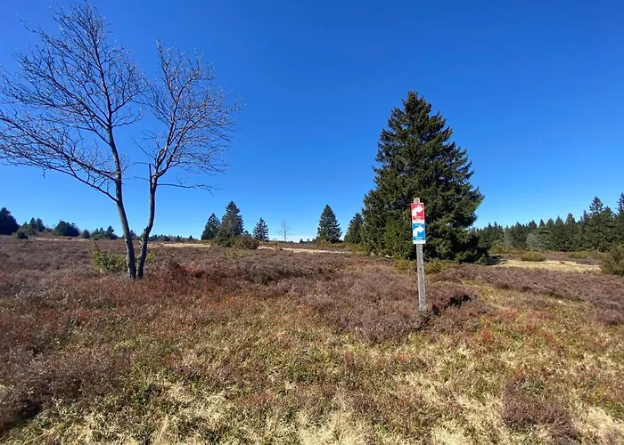 Apartment An Der Spitze *